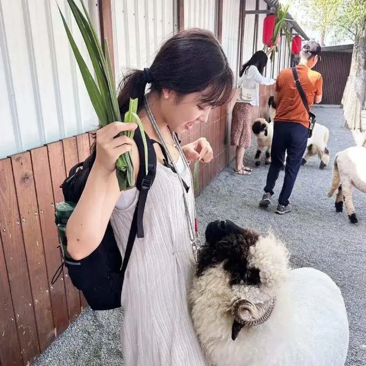 婷鈺