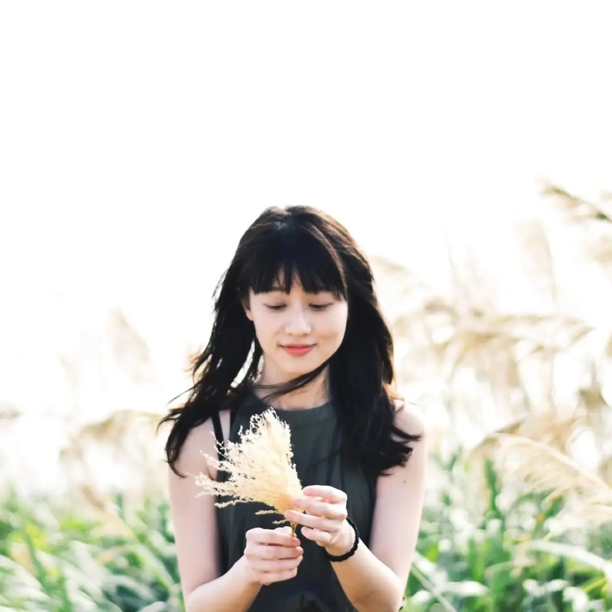 Lily